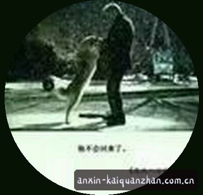 刘洋